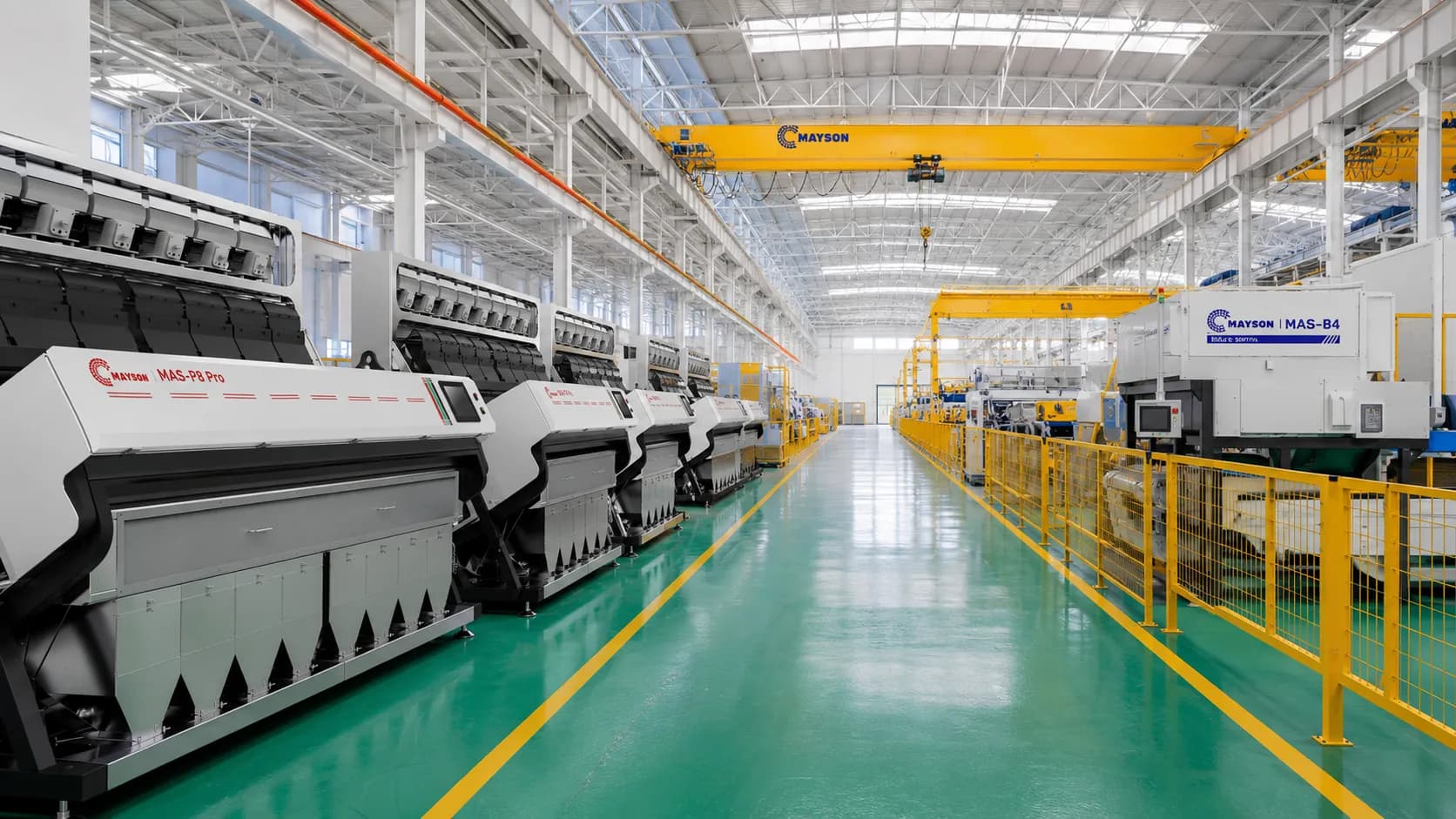 Integrated line of Mayson sorters arranged along a production aisle