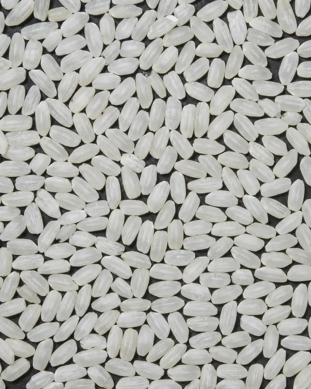 White rice grains on a dark background for variety comparison.