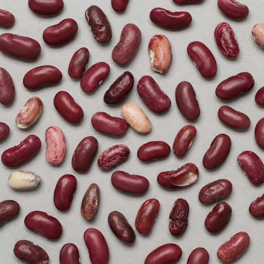 Kidney beans material sample