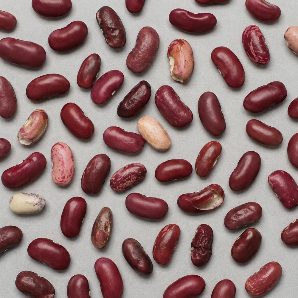 Kidney beans material sample
