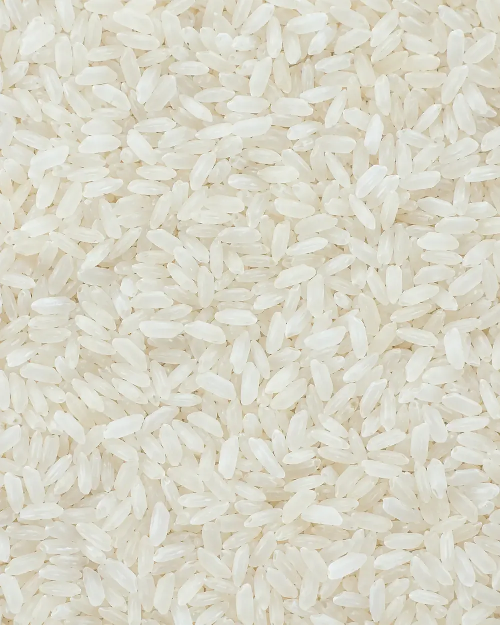 Whole rice kernels used as an integrity acceptance reference.