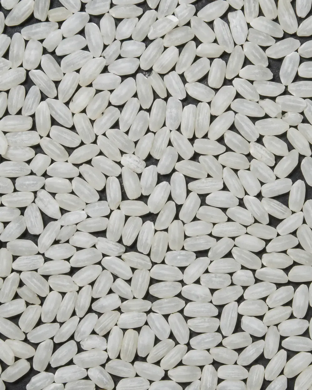 Short to medium rice grains used as an accepted shape reference.