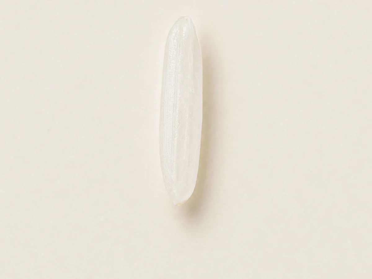 Single rice grain on a light background for shape and size measurement.
